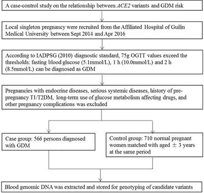 Association of ACE2 gene functional variants with gestational diabetes mellitus risk in a southern Chinese population